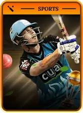 Cricket